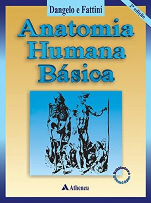 Anatomia humana básica